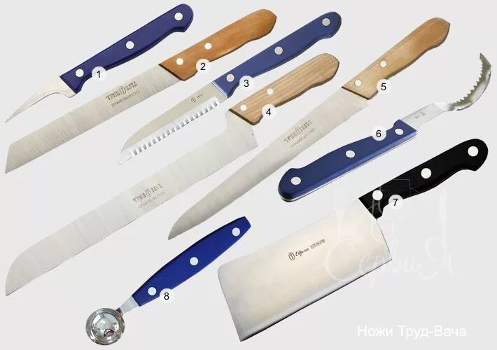 Овощной нож с деревянной ручкой труд вача. Труд-вача нож 1930е. Труд т вача ножи. Нож сапожный 200мм (труд-вача). Нож труд вача р0054.
