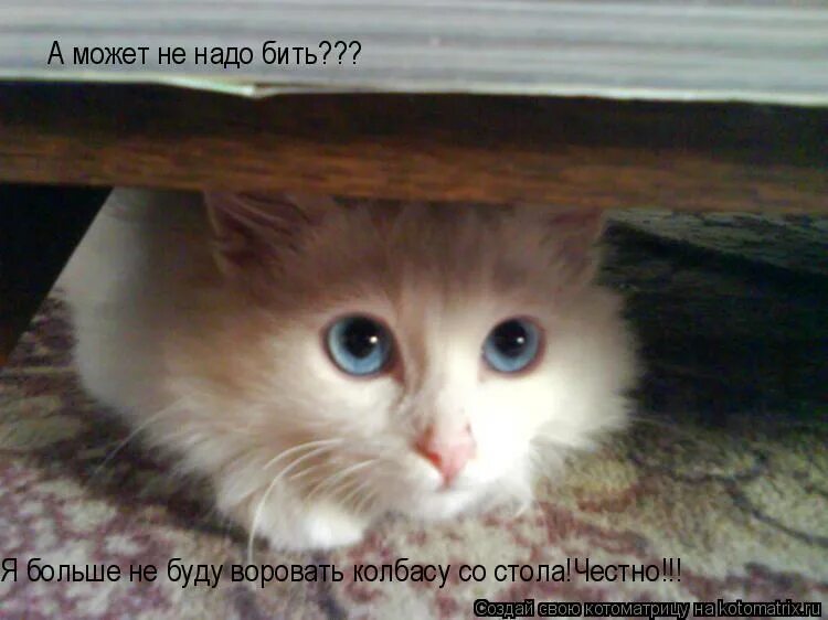 ты лучшее что со мной. я никого не ищу. нет сил. кот задумался. про лучшую подругу.