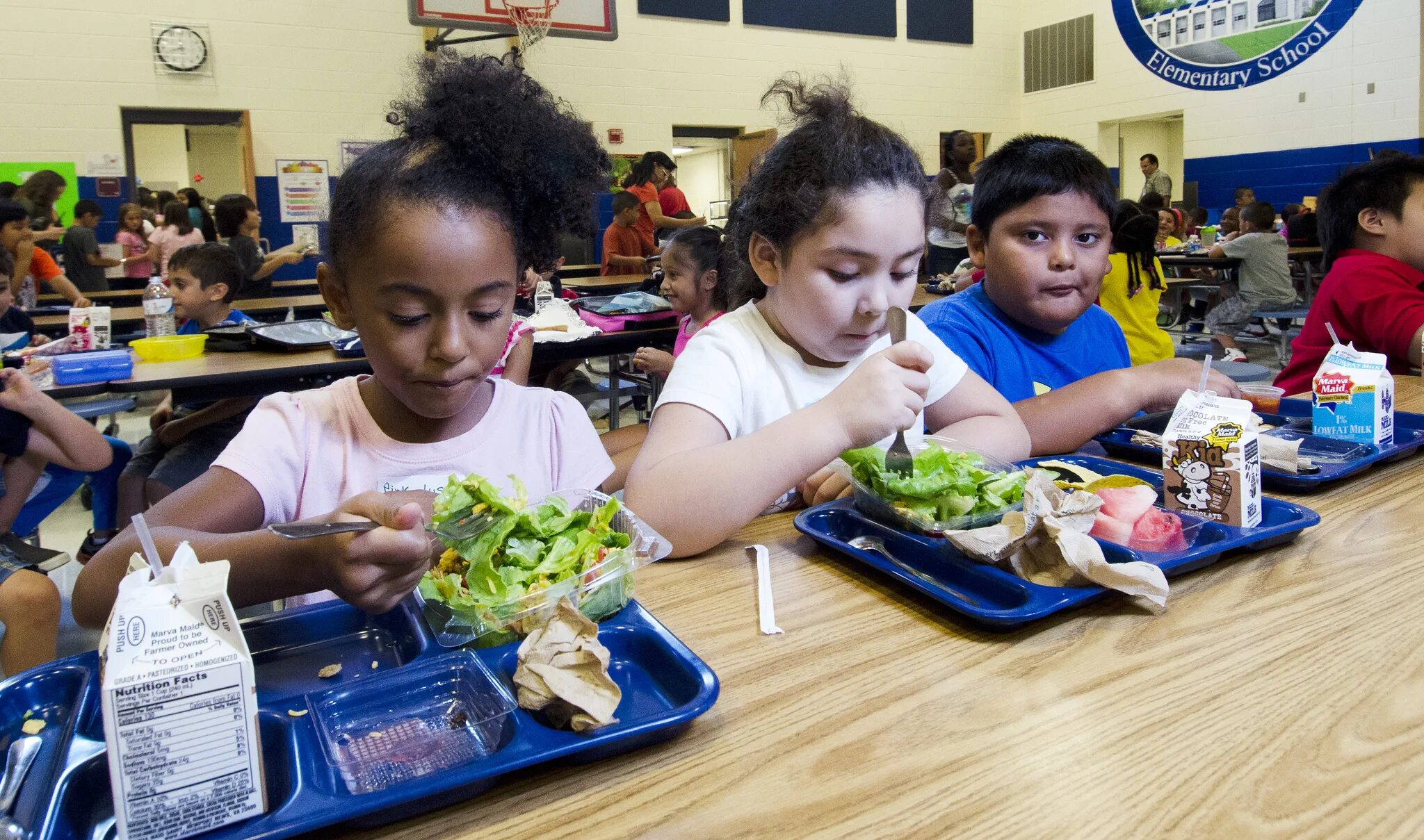 Healthy food at School. Lunchroom at School. Healthy food at School advantages. American School food System. Фуд школа