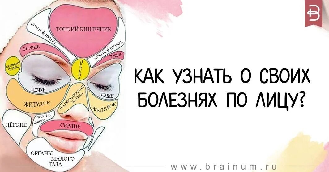 Как определить больной орган. Определяем болезни по лицу. Как по лицу определить болезни. Определить болезнь по лицу человека. Определение болезни по лицу.