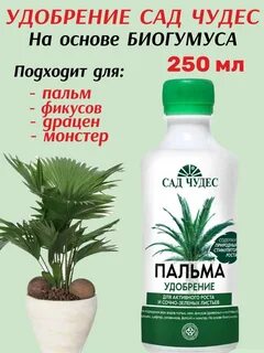 Чем удобрять фикус