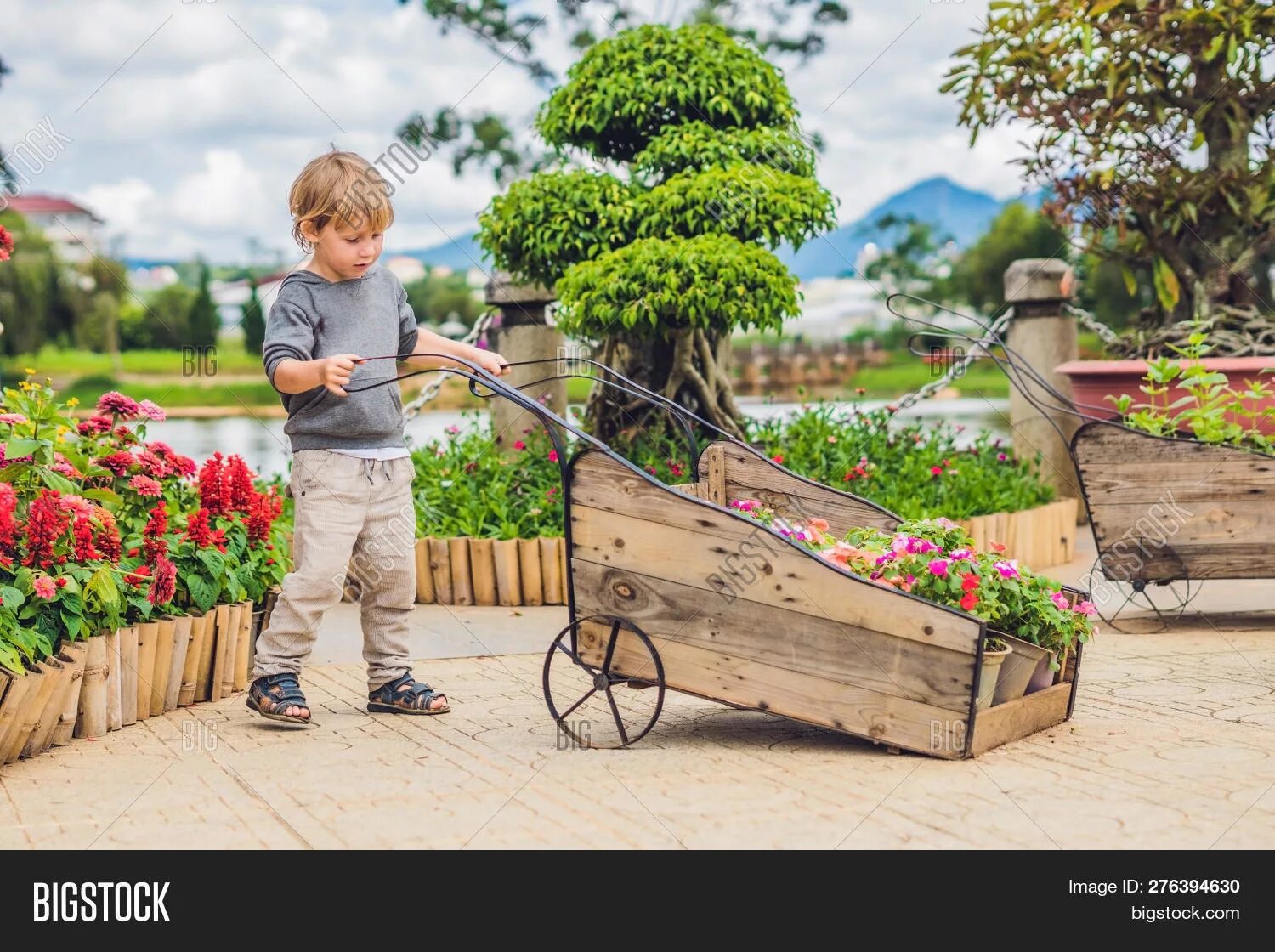 There are and in the garden