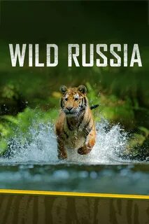 Wild