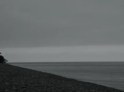Серые волки серое море