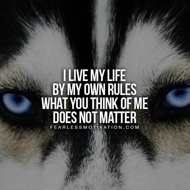 Live on my own. On my own фото. Living on my own обложка. Own Rules. My own life