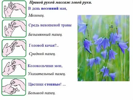 Мама любит полевые луговые