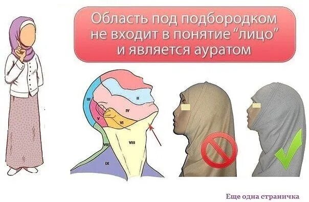 Аурат мужчины перед мужчиной. Аурат женщины. Аурат женщины. Аурат в исламе. Подбородок это аурат.