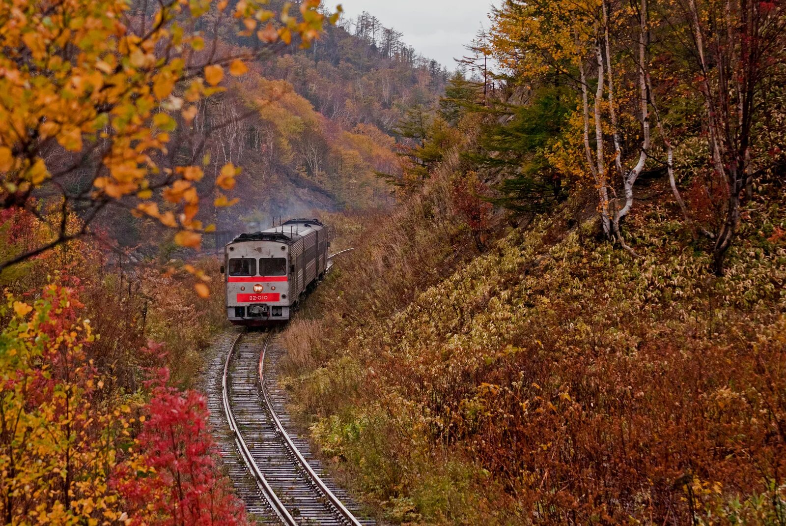 Южно-Сахалинская железная дорога. Железная дорога Холмск Южно-Сахалинск. Сахалин ЖД дорога. Японская железная дорога на Сахалине.