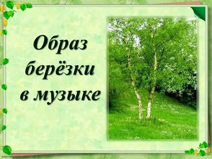 Образ березы