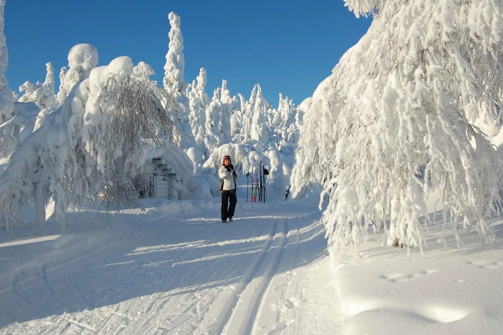 Используя сайт горнолыжного курорта снежок компания. Рукка Финляндия лыжные трассы. Рукка Финляндия зимняя. Зюраткуль национальный парк зимой. Курорт снежный.