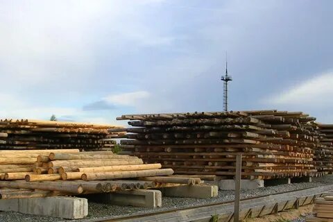 Опора деревянная 11 м