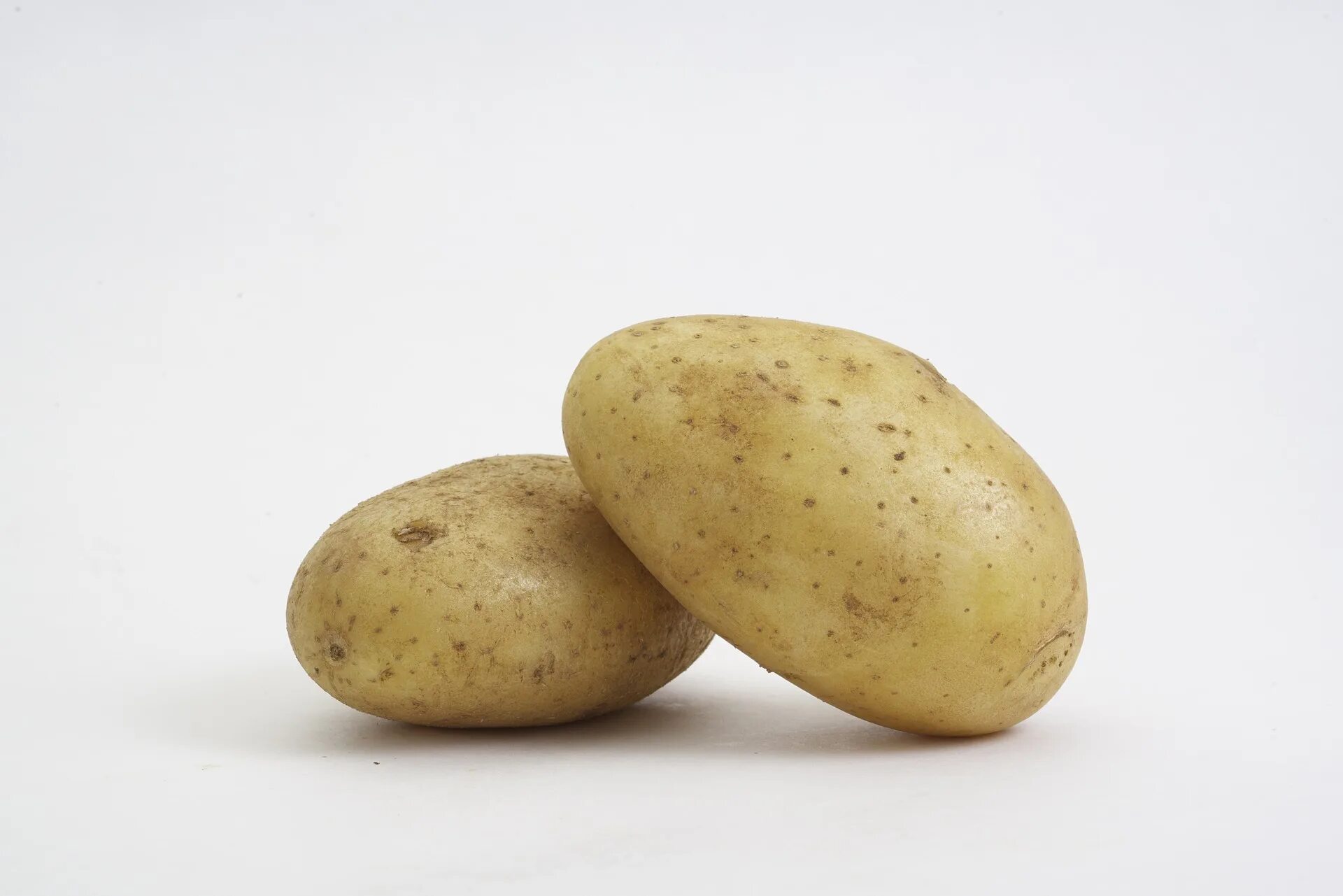 Крепыш картофель характеристика. Картофель. Сорт картофеля Крепыш. Картофель картинка на белом фоне. Обычная картоха.