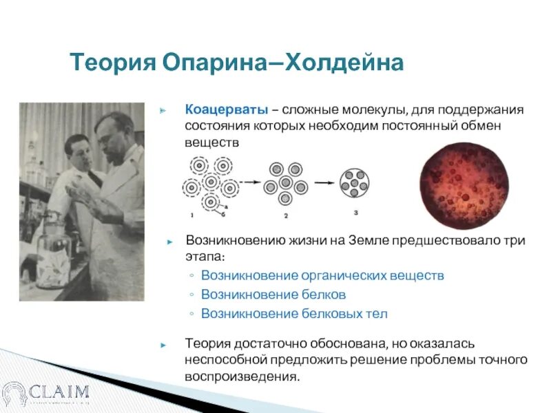 Гипотеза а и опарина дж холдейна. Теория абиогенеза теория Опарина Холдейна. Белково-коацерватная теория Опарина. Теория коацерватных капель Опарина. Зарождение жизни на земле теория Опарина-Холдейна.