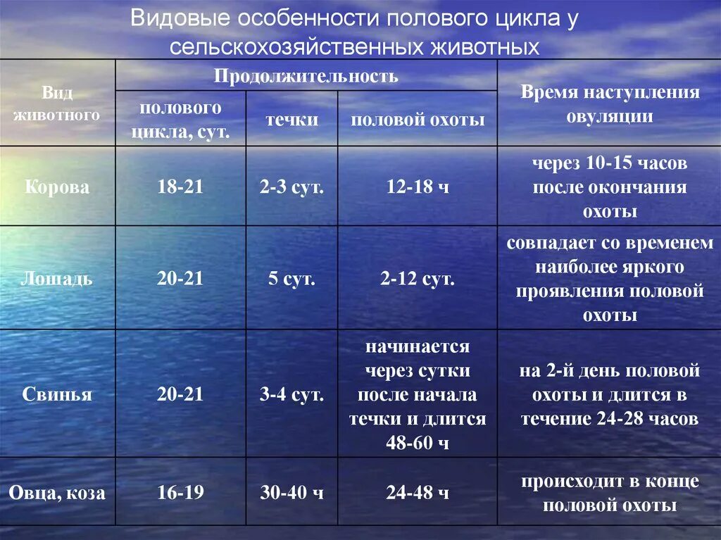 Какое время между циклами. Половой цикл животных. Стадии полового цикла животных. Длительность полового цикла у животных. Фазы полового цикла у животных.