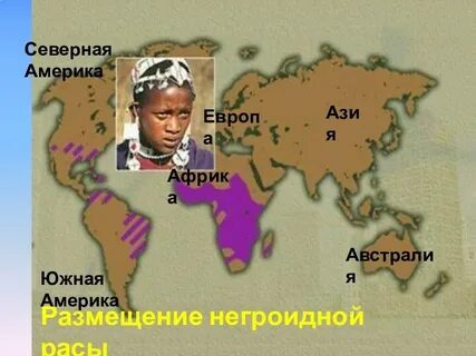 Расы северной америки