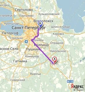 Санкт петербург тосно