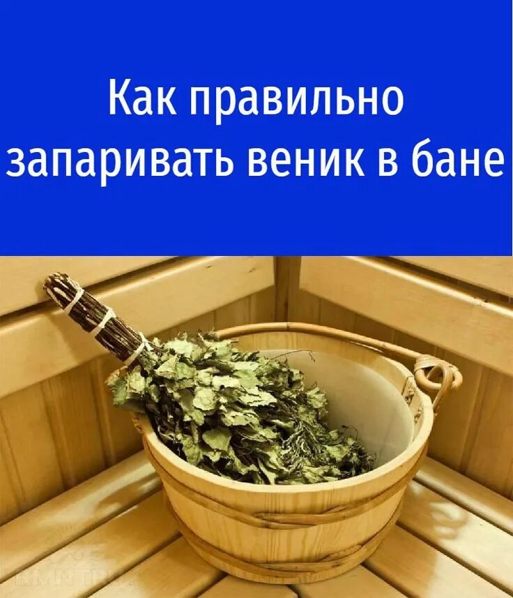 Как правильно запаривать веник в бане березовый. Запаривание веника в бане. как правильно запаривать веник для бани. место для запаривания веников. как запаривать веник для бани.