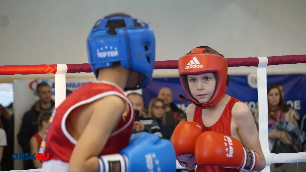 спортшкола зенит орск. зенит орск. турнир горсткова орск. спортшкола зенит орск. спортшкола зенит орск.