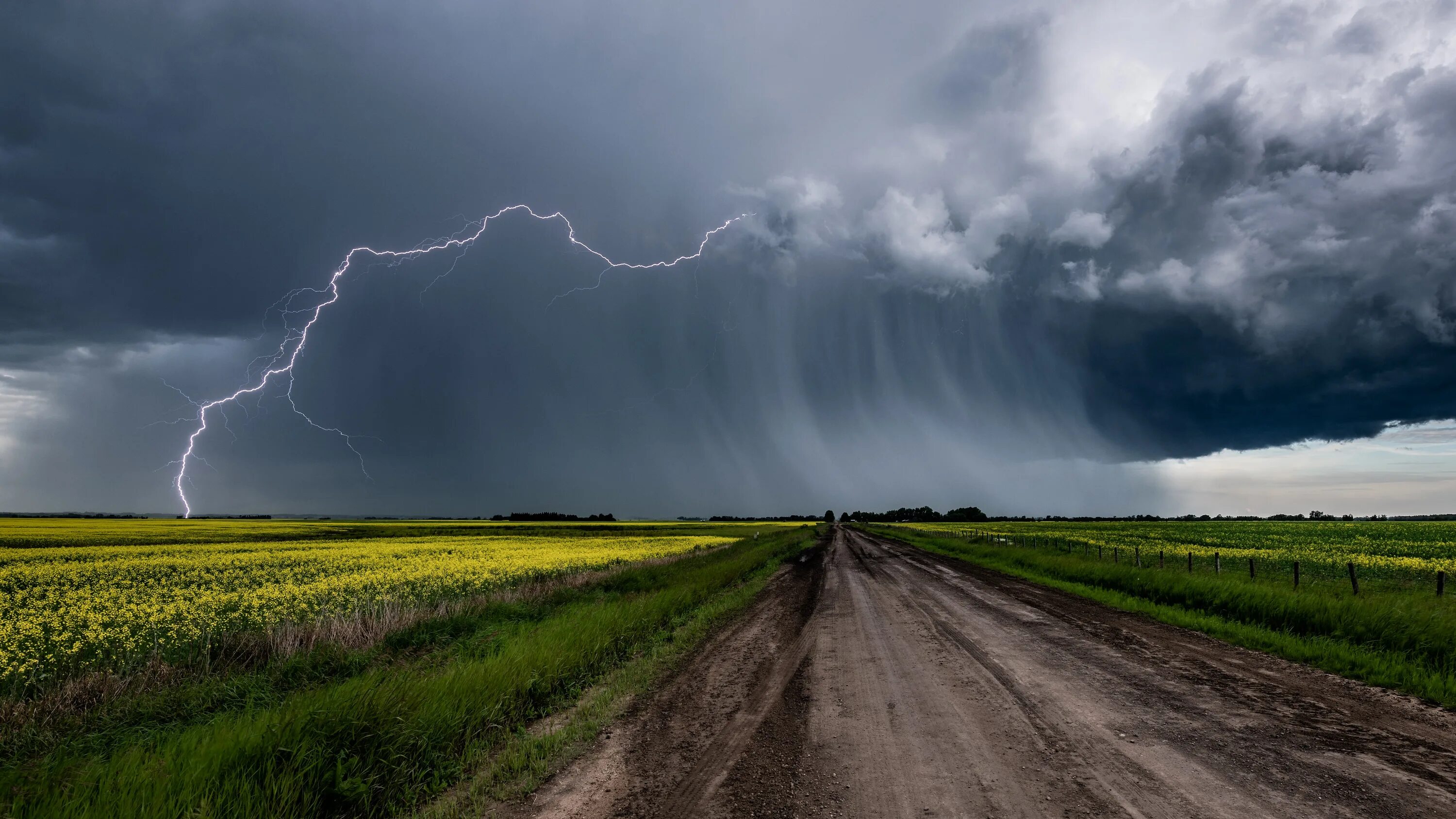 Гроза и дождь. Гроза в поле. Пейзаж гроза. Природа с грозой. Прошло немного времени роса испарилась воздух