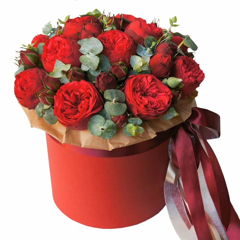 Букет красных пионовидных роз. Ред пиано пионовидные розы букет. Букет красных роз в шляпной коробке. Оригинальные букеты в коробках. Заказать подарок цветы