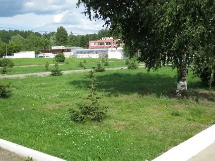 Арзамас березовка