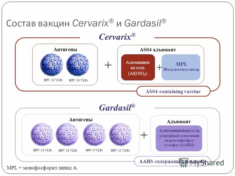 из чего состоит вакцина. состав прививок. состав прививок. состав прививки. что входит в состав вакцины.