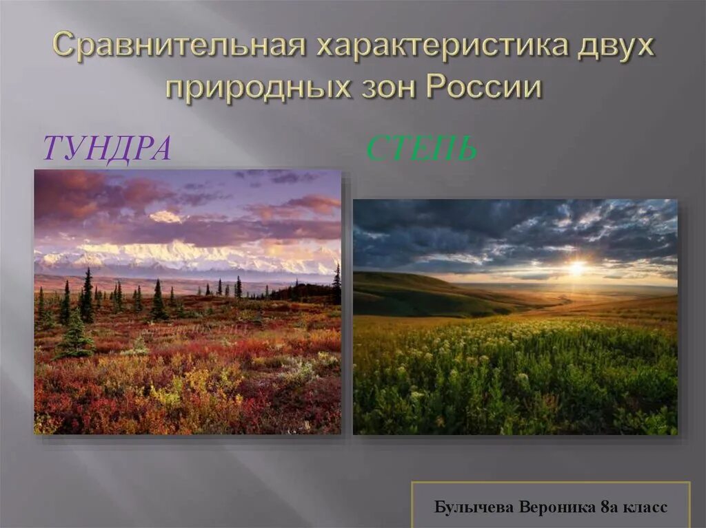 Для зоны тундр россии характерны. Климатическая зона тундра. Природная зона тундра климат. Природные зоны России тундра степи. Сравнить тундру и степь.