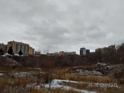 В овраге нашли