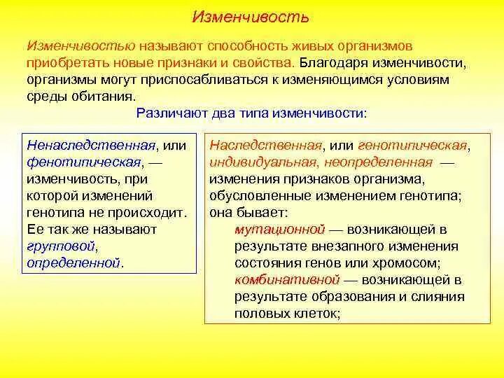 Изменчивость. Типы наследственной изменчивости. Роль изменчивости в эволюции. Формы ненаследственной изменчивости. Какую роль в эволюционном процессе играет борьба