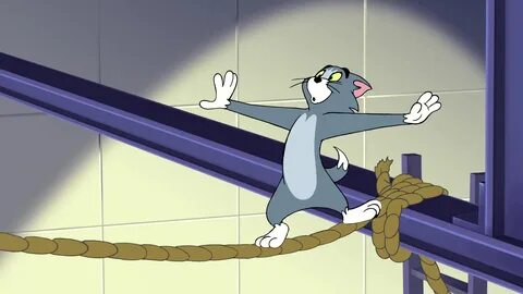 Том и джерри 2005