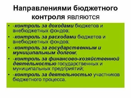 Бюджетное направление