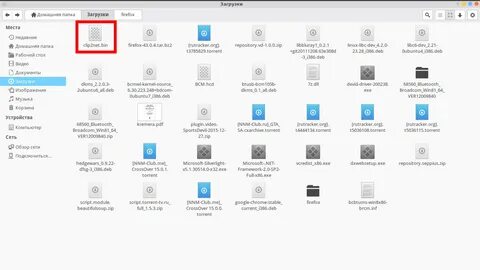 Linux бинарный файл