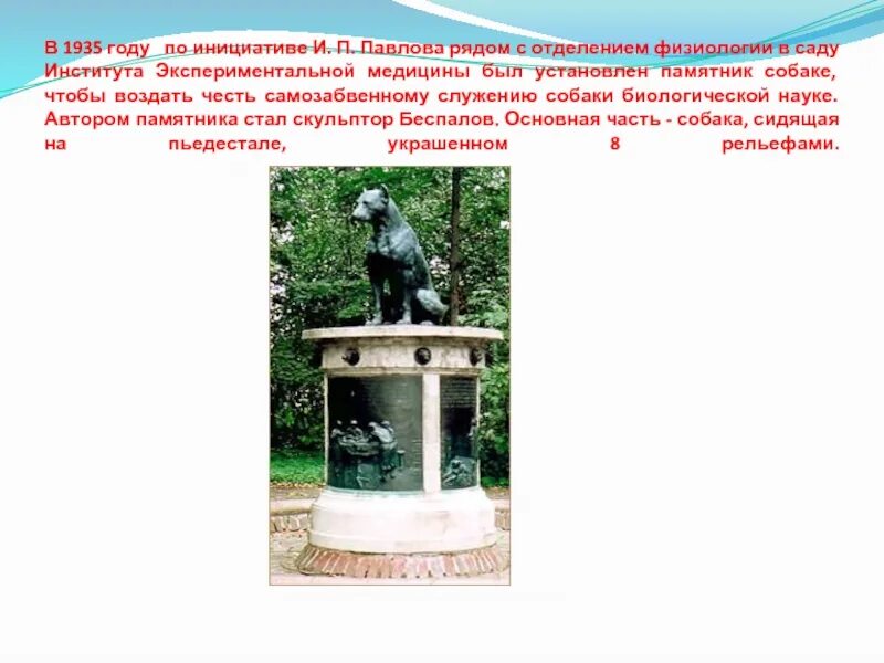 Какого года родился павлов 1. Памятник собаке Павлова в Рязани. Памятник собаке Ивана Петровича Павлова. Памятник собаке в саду института экспериментальной медицины.