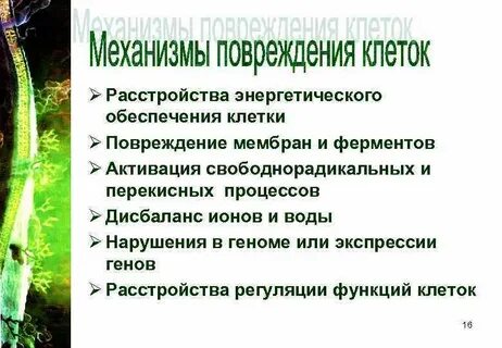 Механизмы повреждения мембран клеток