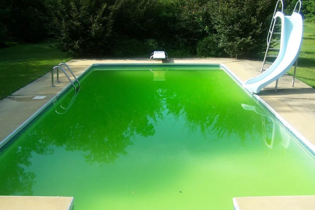 Цветущая вода в бассейне. Зеленый бассейн. Зеленая вода в бассейне. Водоросли в бассейне. Зацвела вода в бассейне.