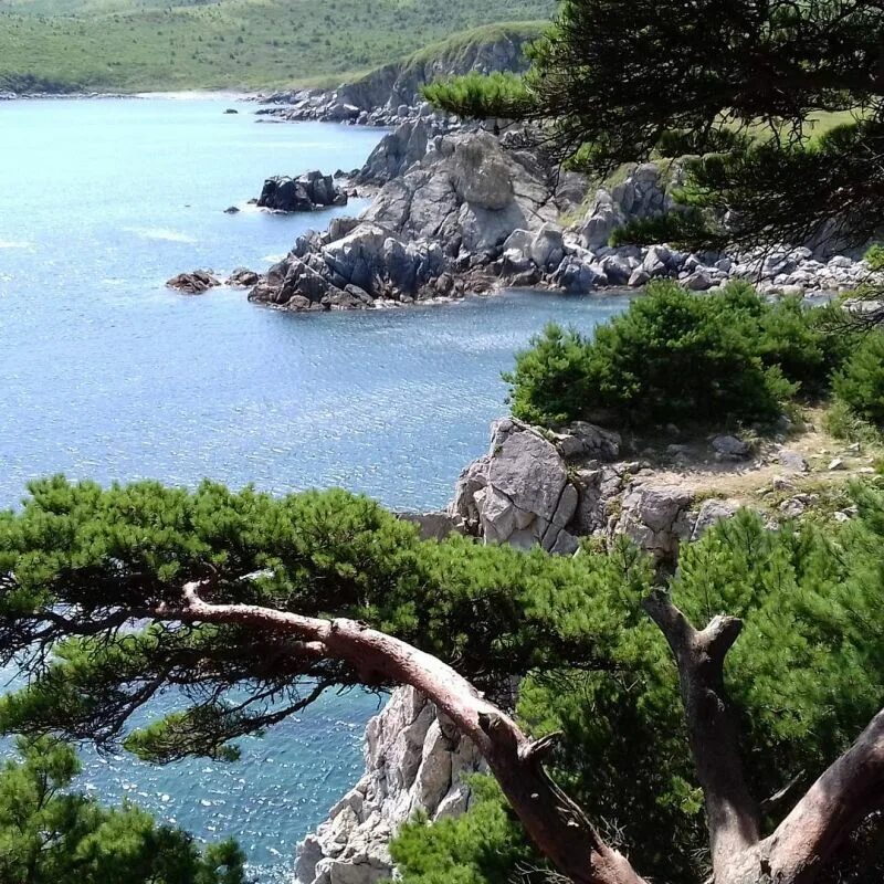 Мыс гамова бухта витязь. Витязь приморский край бухта астафьева. Бухта теплая. Сопка сюдари дальневосточный морской заповедник фото. Бухта черепахи полуостров гамова.