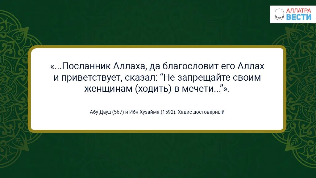 Дауд хадис. Дауд хадис