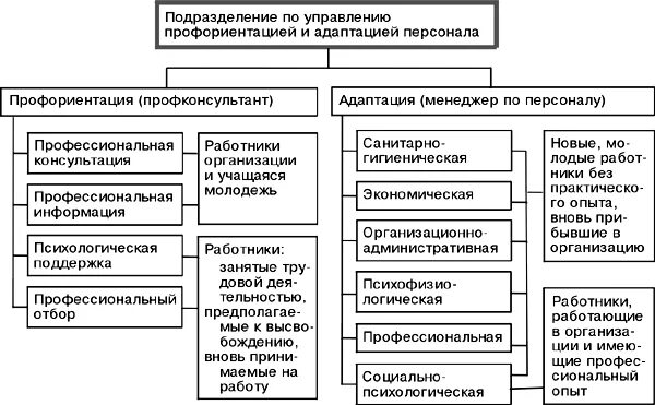 Профориентация и адаптация персонала. Управление профориентацией и адаптацией персонала. организация управления профориентацией персонала. профориентация и адаптация персонала в организации. организация работы по адаптации персонала.