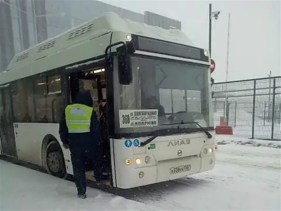 395 москва балашиха. Автобус 368 Долгопрудный Ховрино. Маршрут 368 автобус Долгопрудный. МАЗ 206 Домтрансавто. Автобус МАЗ 206 Мострансавто.