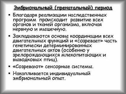 Реализация генетической информации в пренатальном периоде