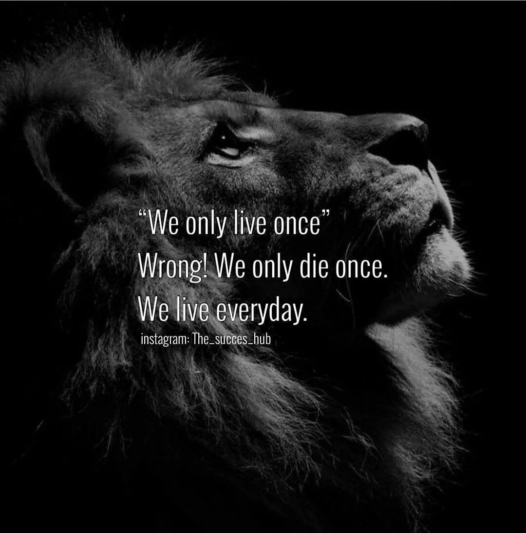 We only find them when they're dead. We part only to meet again на руке. Enjoy фото. We only. We only find them when they're dead.
