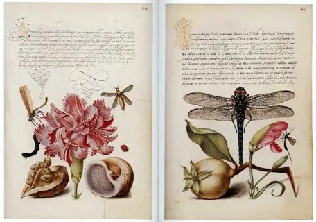 Иллюстрированные книги pdf