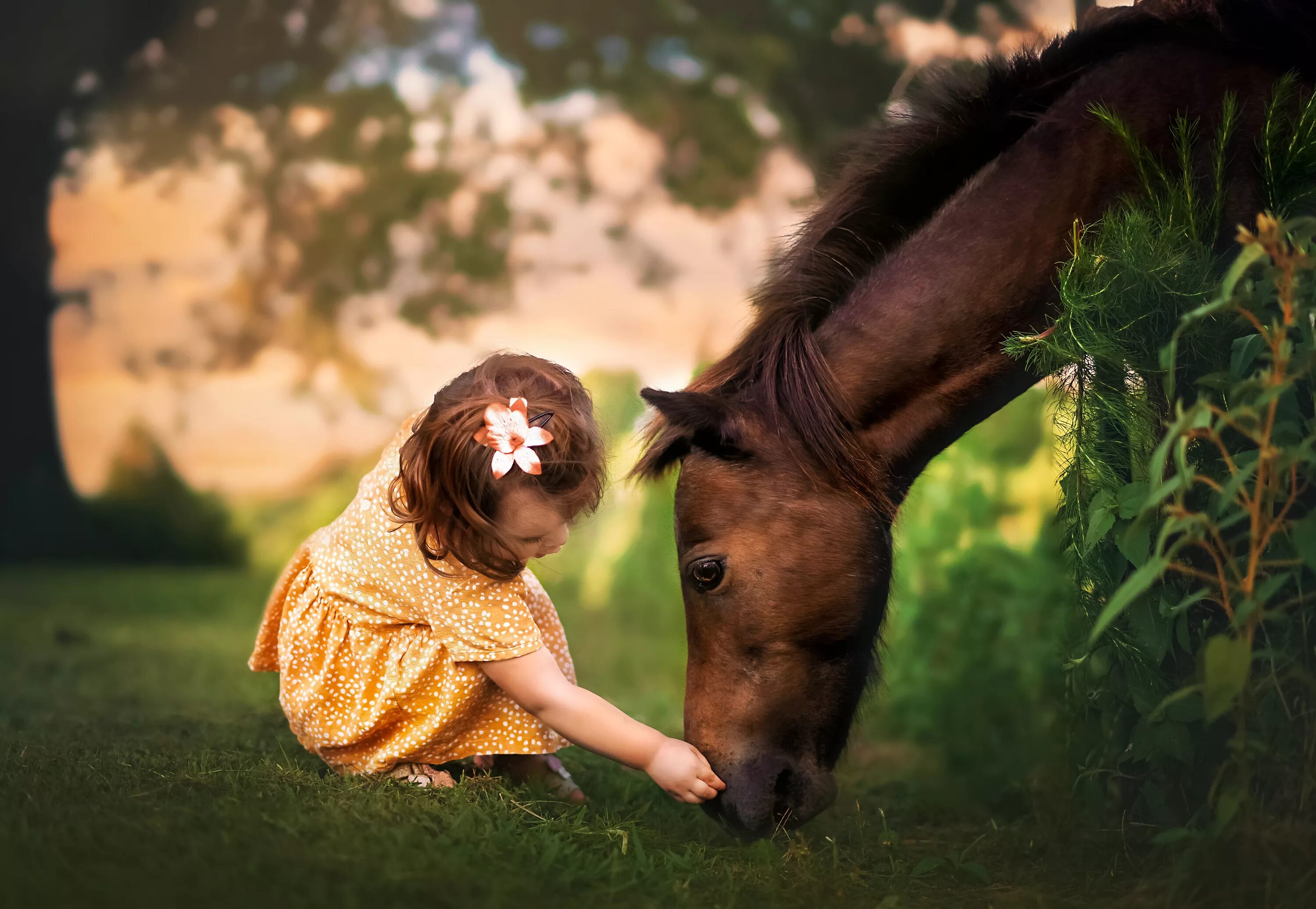 Девочка с лошадкой