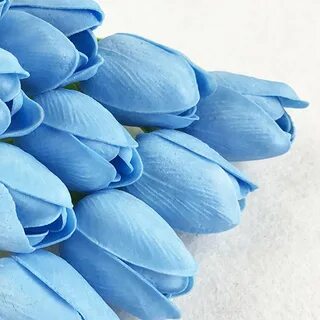 Синие тюльпаны