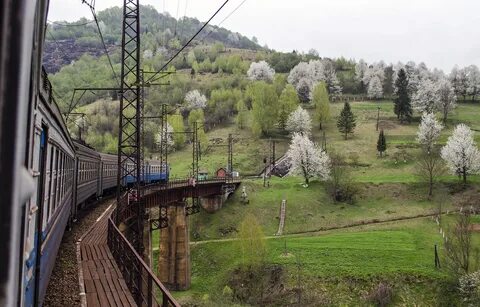 Пушкино закарпатская область