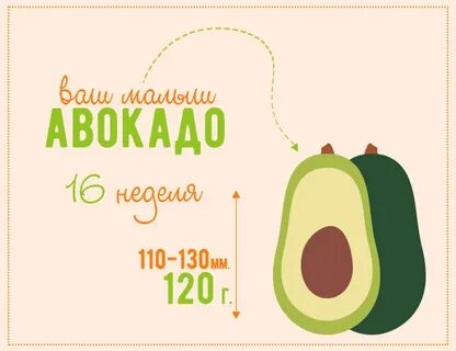 7 недель какой фрукт