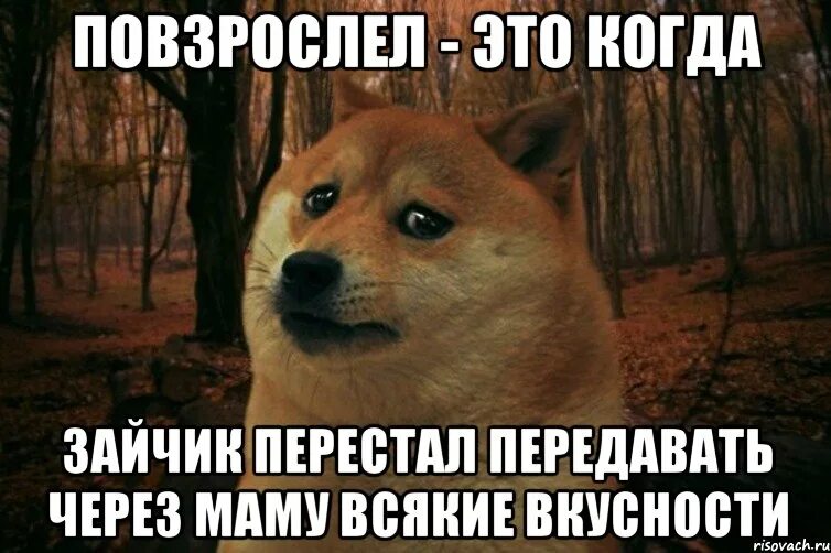 Нет. Пьющий мем. Обнимашки через интернет мем. Когда отказался пить. Вчера я познакомился.