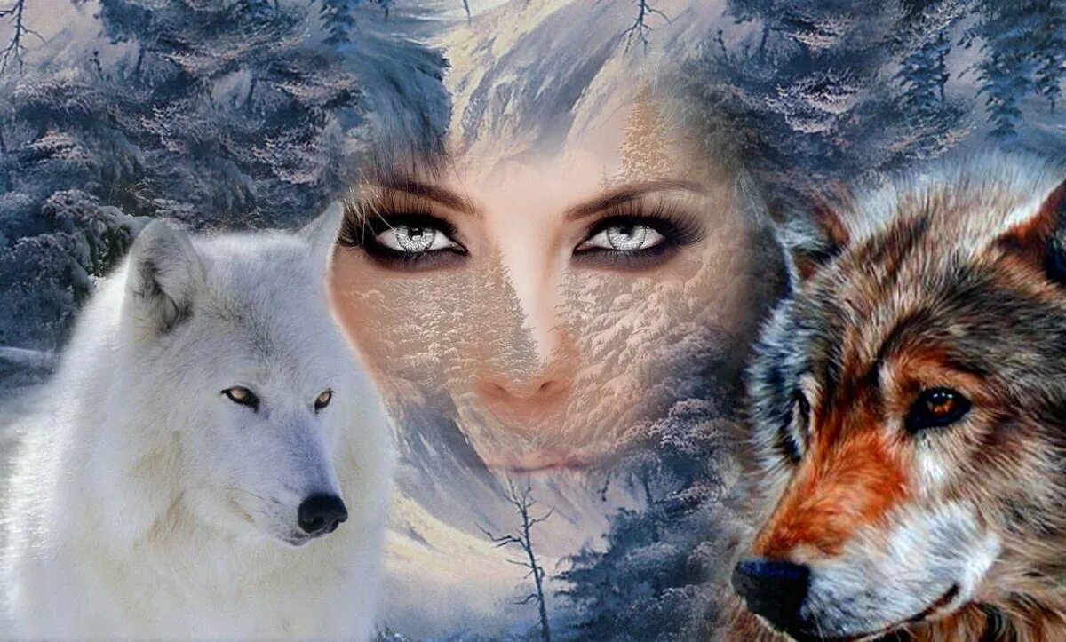 Одинокая волчица белый песня. Волчица. Волк и волчица. Волчица и девушка. Заставка на рабочий стол волк.