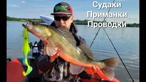 Какую приманку любит судак