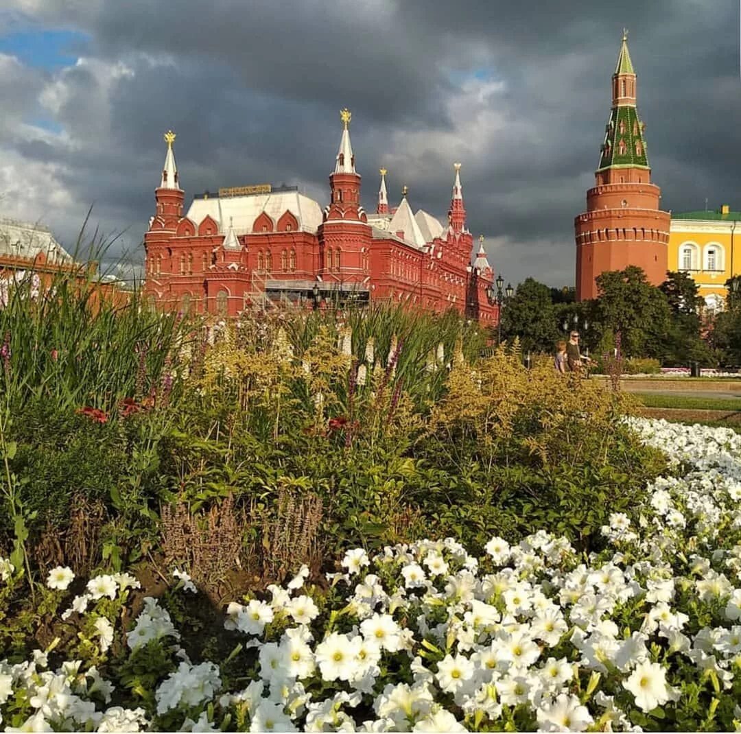 Утро красит нежным светом стены древнего Кремля. Кремль утром. Стены древнего Кремля. Кремль цветы.